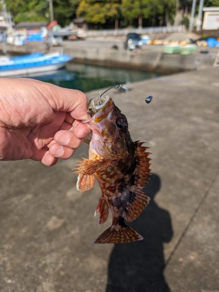 陸っぱり釣行記