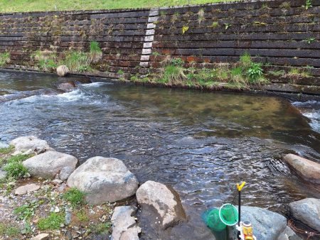 アマゴ釣り(管理釣り場)