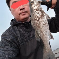 ヒラセイゴ釣れました!