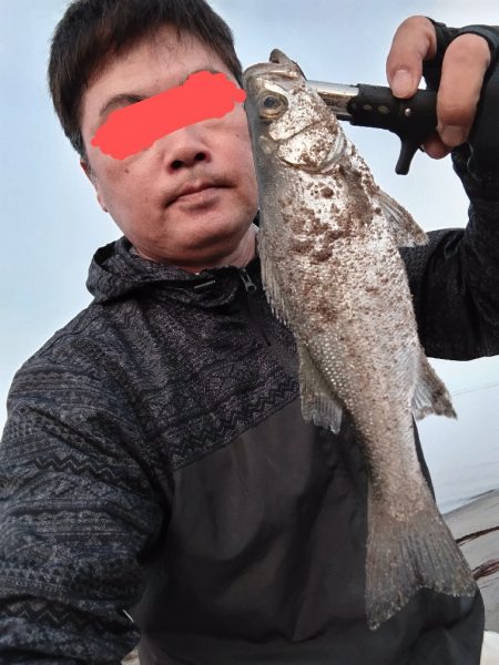 ヒラセイゴ釣れました!