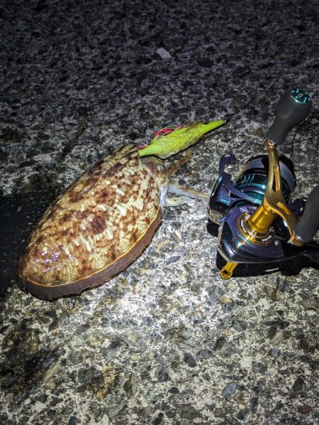 変化はチャンス