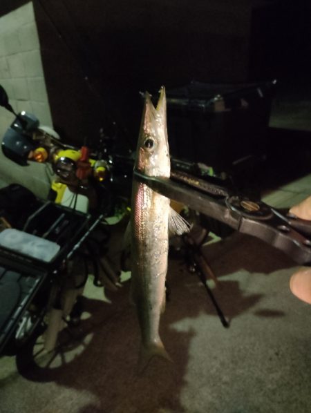 釣りキャンツーリング唯一の釣果