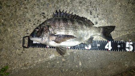 久しぶりのメバリングに満足