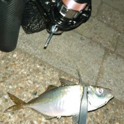 いつもの時間に