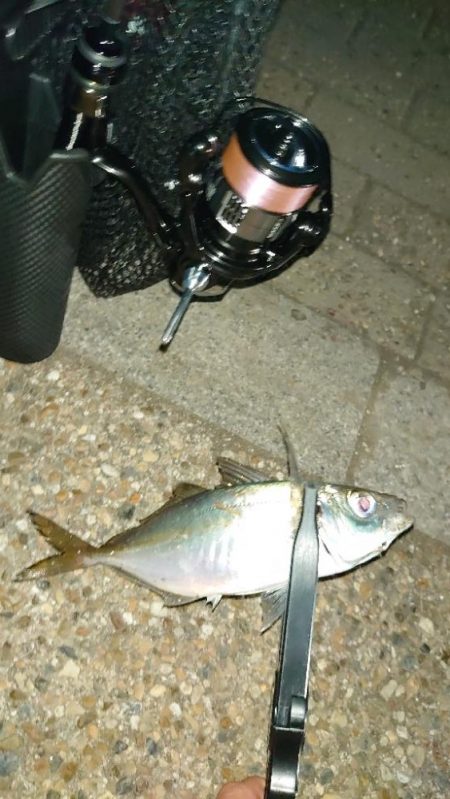 いつもの時間に