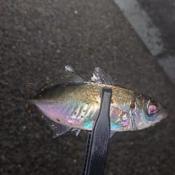 持ってて良かったタングステン！