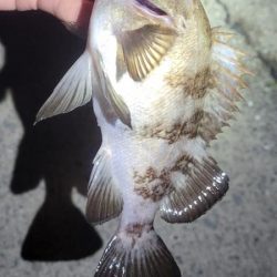 やり続けること◯時間