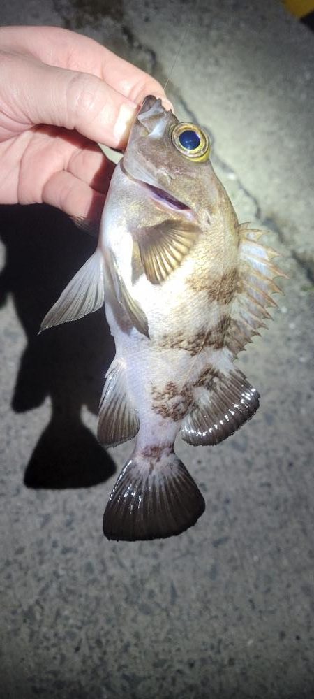 やり続けること◯時間