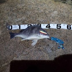 ハードチニング