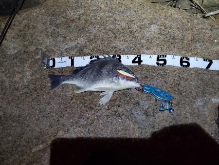 ハードチニング