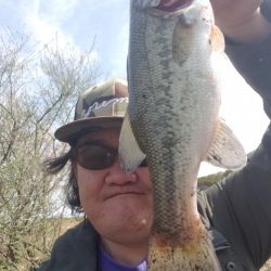 初バスげっとん