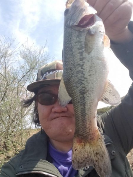 初バスげっとん