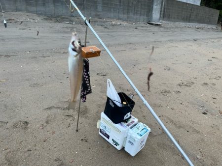 投げ釣りの季節が始まりました