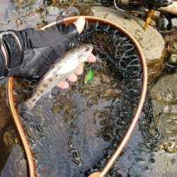 何とか顔見れました