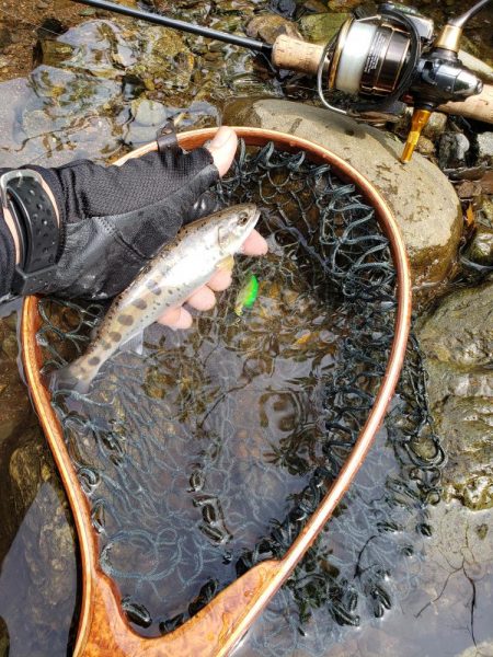 何とか顔見れました