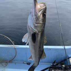 平戸的場大島沖でランカーシーバス