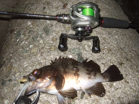 格安ベイトフィネスリールでメバル釣行に