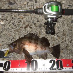 ベストシーズン到来