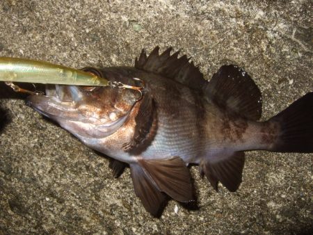 バチパターンからの変化