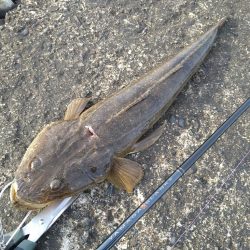 横風の中で流れに身を任せ…