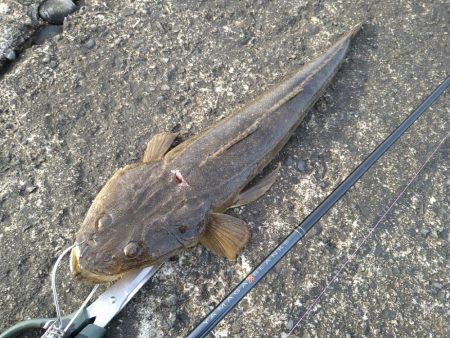 横風の中で流れに身を任せ…
