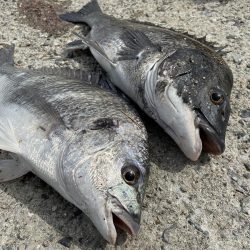 ★★のんびり釣行★★