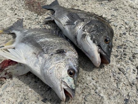 ★★のんびり釣行★★