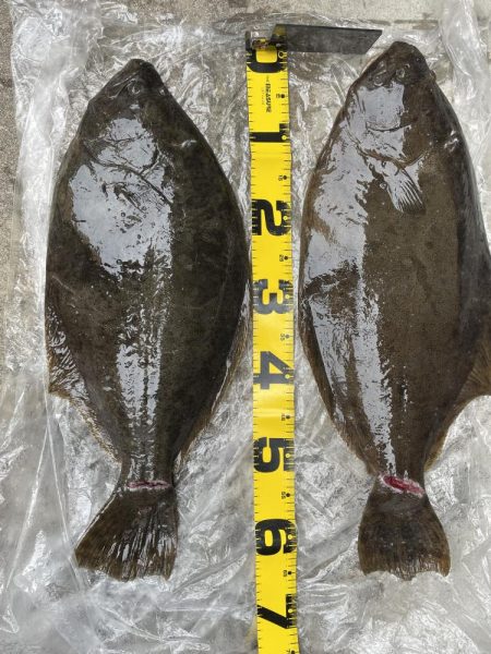 2024初釣果‼࿠…