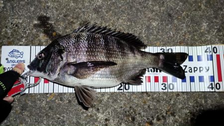 2024/04/10 舞洲方面ヘチ釣り釣行…