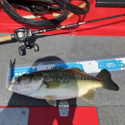 北山田サイト42cm