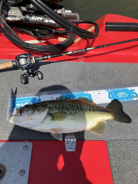 北山田サイト42cm