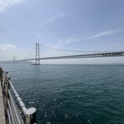 花見カレイ不発！癒しのテンコチ