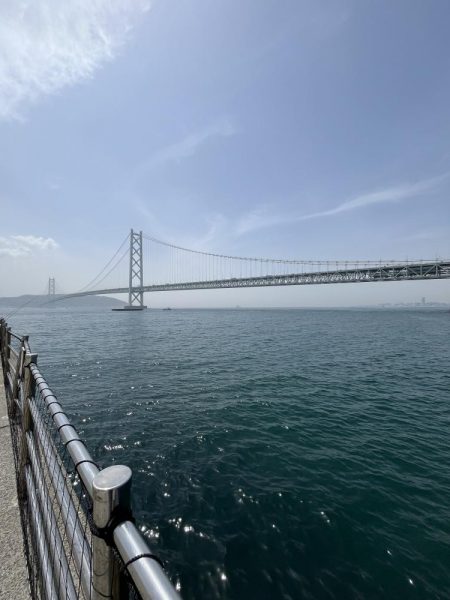 花見カレイ不発！癒しのテンコチ