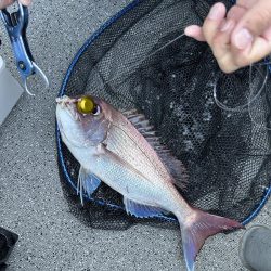 ディープタイラバとジギング