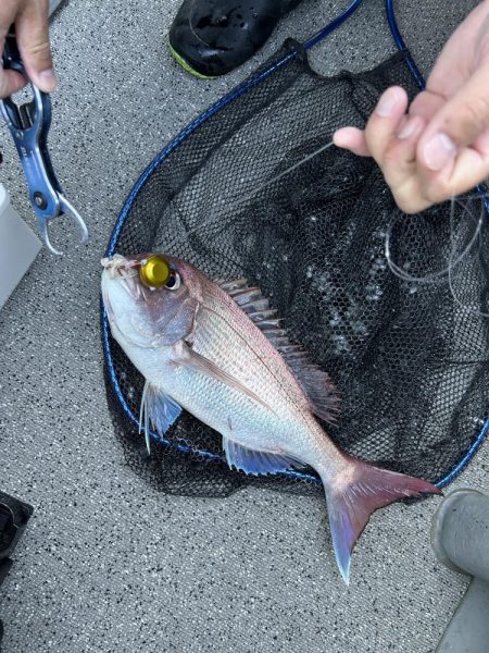 ディープタイラバとジギング