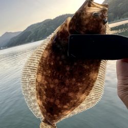 フラットフィッシュ狙って