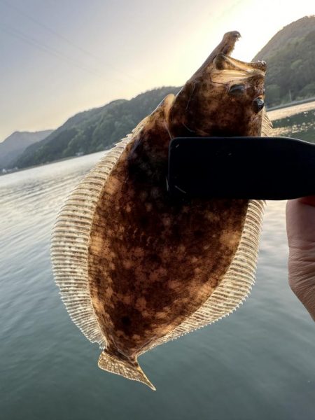 フラットフィッシュ狙って