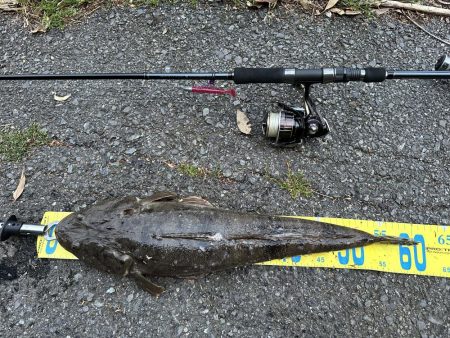 出た！ランカーマゴチ！