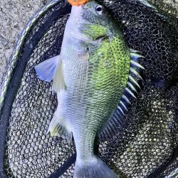 激渋の中タイムアップ直前に