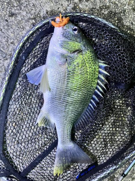激渋の中タイムアップ直前に