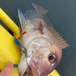 五島カヤック調査