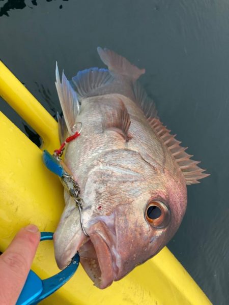 五島カヤック調査