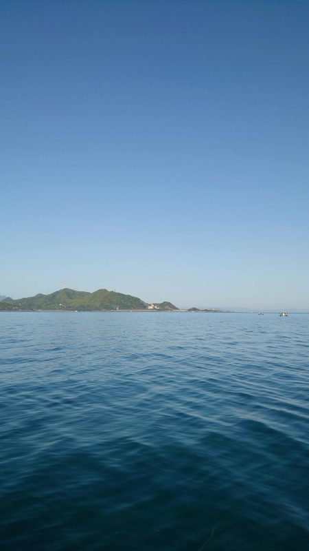 久々のサゴシ釣行