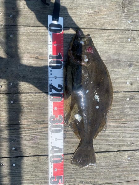 初めての筏釣り