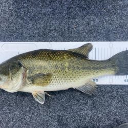 1日ボート釣行！