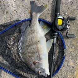 一日中彷徨い続け….