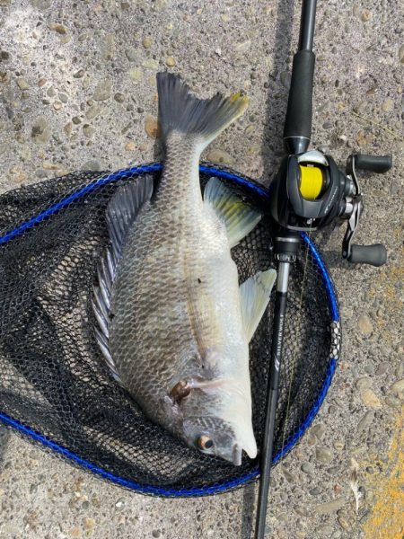 一日中彷徨い続け….