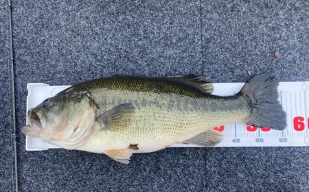 午後からボート釣行！