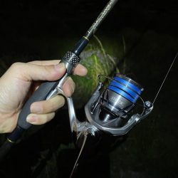 淀川ブリームゲーム