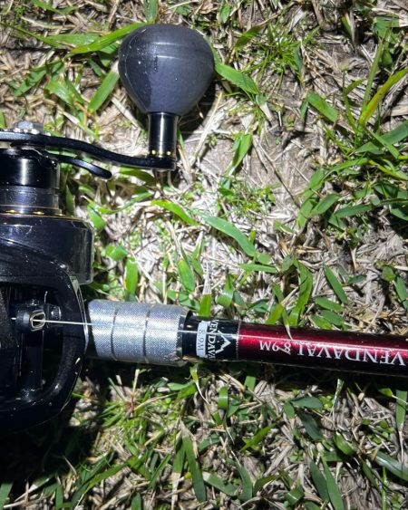 今年の初ナマズ